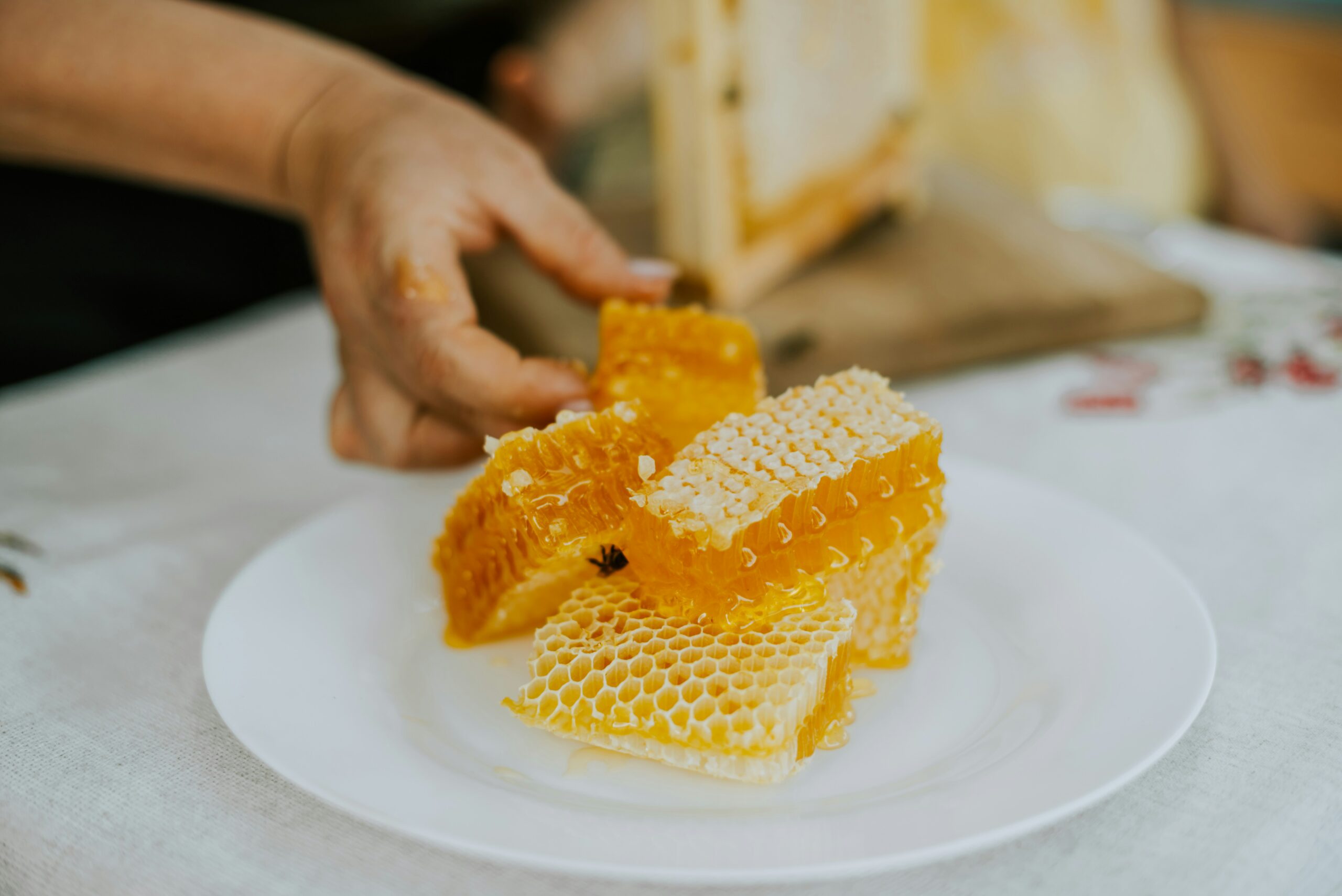 Fresh honeycomb with golden raw honey on a white plate being cut by hand